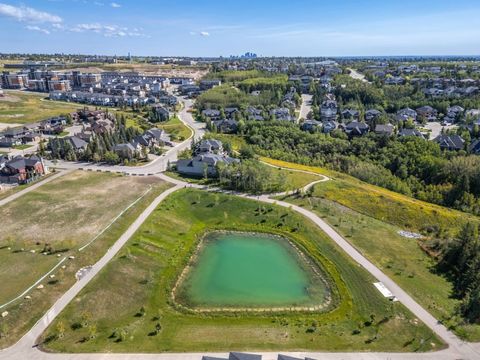 The Outdoor Spaces in Aspen Neighborhood Are Beautiful, Featuring Lush Greenery, Scenic Trails, and Well-Maintained Parks that Enhance the Area’s Natural Charm