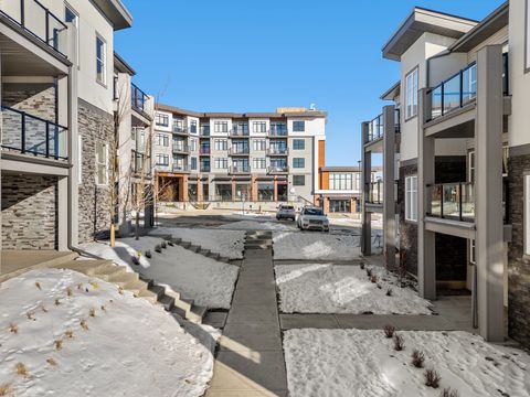 Vibrant community courtyard surrounded by modern residential buildings