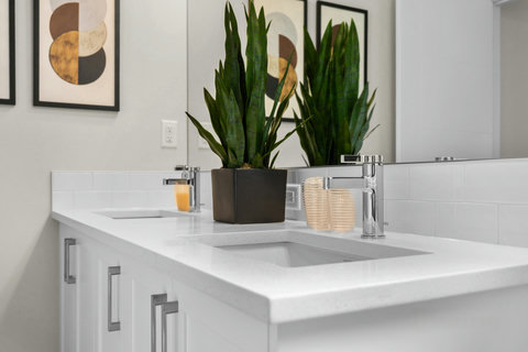 A sleek double vanity with polished chrome faucets and fresh greenery