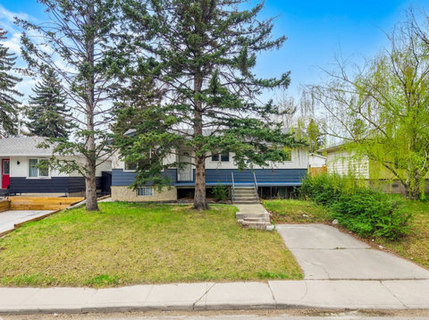Welcoming front yard with mature trees and easy walkway access