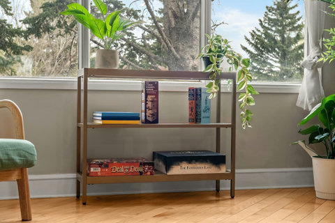 Cozy reading nook with natural light and decorative shelving