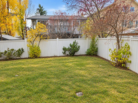 Alternate view of the backyard.