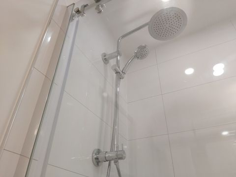 Rain shower head and handheld shower