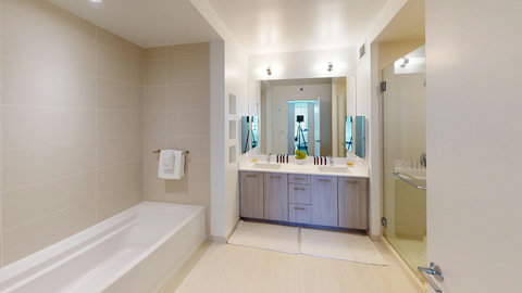 Master Bathroom with both shower and bathtub