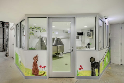 Dog Spa