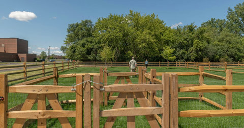 Outdoor Dog Run