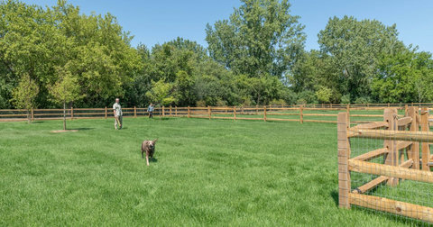 Outdoor Dog Run