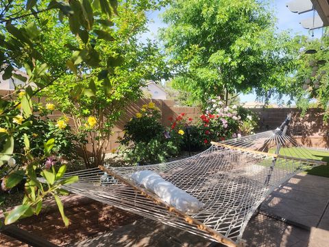 Garden during Spring!