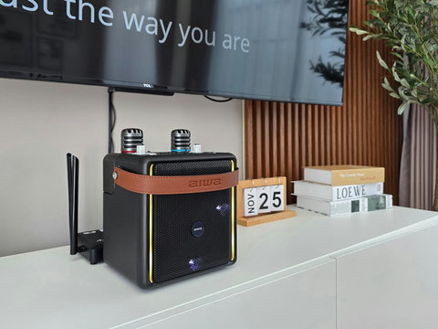 Bluetooth karaoke speaker. Easily connect to the TV or your own device. 