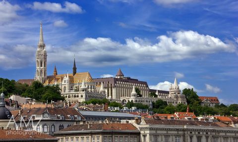 Buda Castle (15-20 minutes walking from the flat)