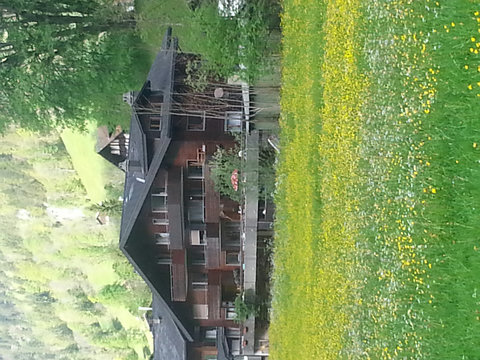 Meadow in front of Apratment house