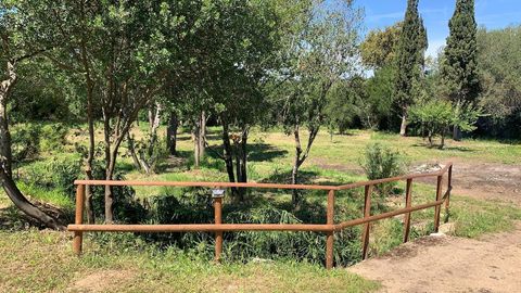 Vista sul giardino e fiumiciattolo