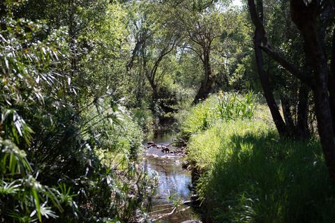 Piccolo fiumiciattolo che scorre lungo il terreno.