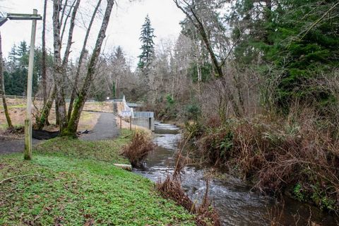 Mill Creek Park dam - Cosmopolis