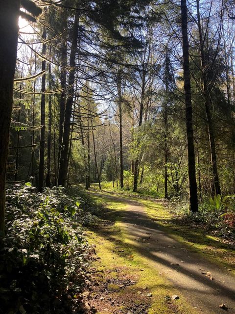 Trail in Makarenko Park