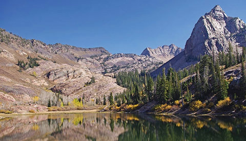 Wolf-Creek-Resort-gallery-5