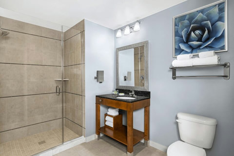 cw-desert-blue-studio-bathroom-1