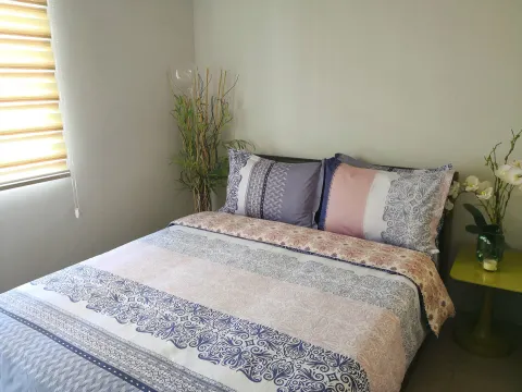 European Queen size posturpedic bed