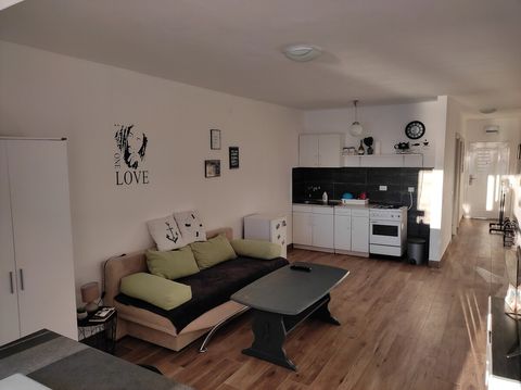 Living room and kitchen