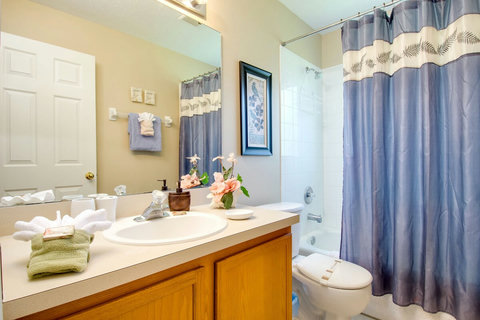 The main bath, always clean and ready for you.