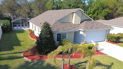Quality landscaping creates a wonderful environment for our Florida home... and your family too!