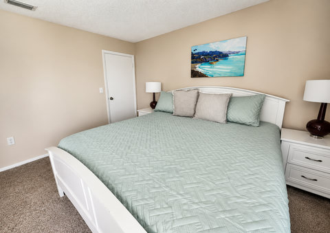 Master Bedroom (King Size Bed)