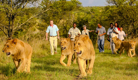 Other activities around the island