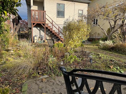 Shared Back yard garden.