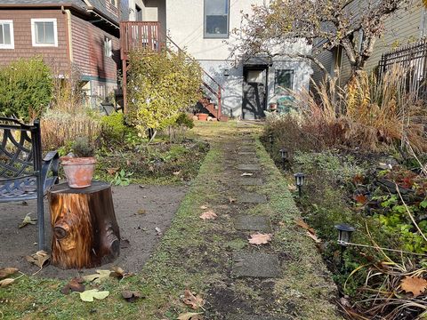 Shared Back yard garden.