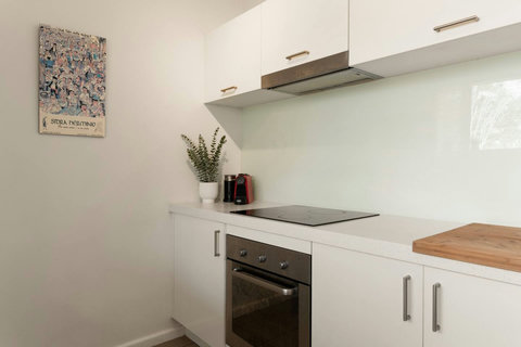 Modern cooking area with electric cooktop, oven, rangehood and practical storage above and below