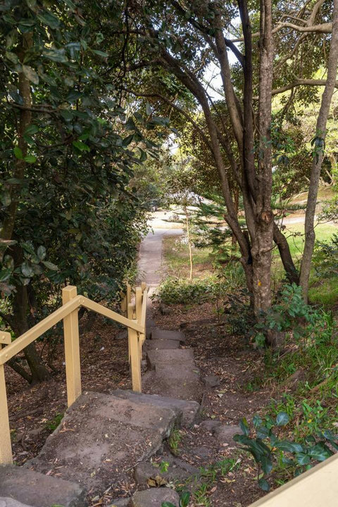 Leafy pathway and stairs leading through the landscaped grounds towards the property