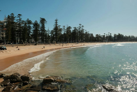 Manly Beach framed by its iconic Norfolk pines, with a sweeping stretch of sand and ocean beyond