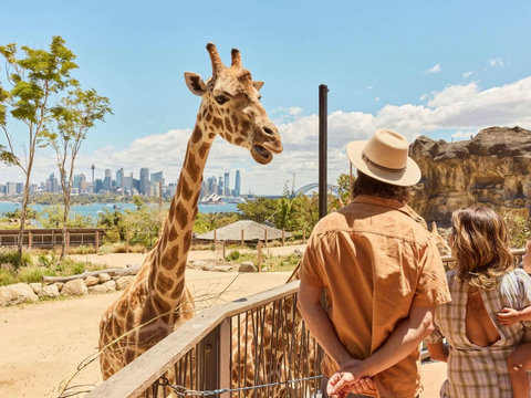 Taronga Zoo is one of Mosman’s best-known attractions, with harbour views and an easy day out for couples and families