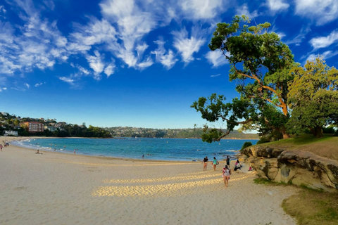 Balmoral Beach offers calm water, a wide sandy shoreline and an easy place to spend a relaxed day by the harbour