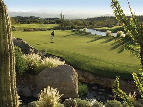 Welcome to Golfers Heaven! Walk to 5 Top Rated Courses within a couple of miles from our villa
