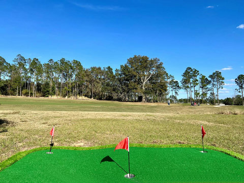 Enjoy a private artificial putting green in your backyard. Practice your putting/chipping with stunning views of the world-class Scottish Links Mike Dasher designed Highlands Reserve Golf Club, Driving range, Clubhouse, Pickleball, Tennis, Pool SPA.
