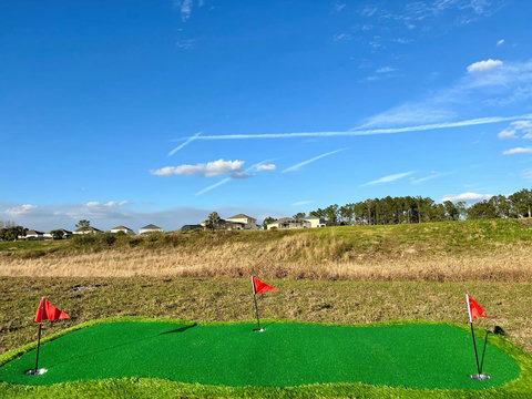 Enjoy a private artificial putting green in your backyard. Practice your putting/chipping with stunning views of the world-class Scottish Links Mike Dasher designed Highlands Reserve Golf Club, Driving range, Clubhouse, Pickleball, Tennis, Pool SPA.
