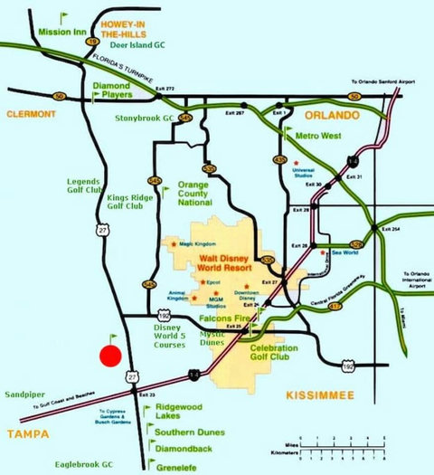 Ideal Location, Just 10 Minutes from Disney World - Embrace the magic of Disney at your doorstep.
