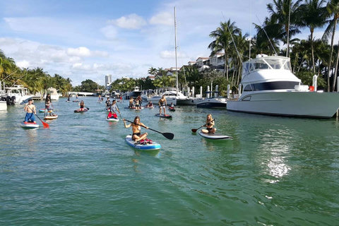 Discover aquatic adventures nearby - a short 10 min walk or 2 min Uber ride to the marina. Rent paddleboards, canoes, and jetskis to embark on thrilling water escapades along the scenic Miami Beach waterways.