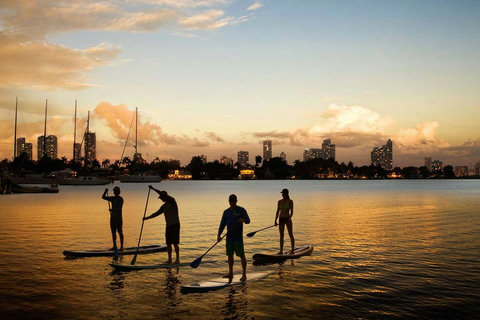 Discover aquatic adventures nearby - a short 5-10 min walk or 2 min Uber ride to the marina. Rent paddleboards, canoes, and jetskis to embark on thrilling water escapades along the scenic Miami Beach waterways.
