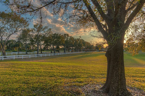 Experience the magic of golden hour with captivating sunset views, creating an enchanting backdrop.
