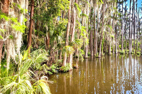 Spectacular Lakeview - Behold the breathtaking panorama of the serene lake from our property.