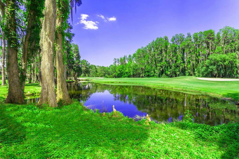A Golfer's Paradise - Enjoy views of Championship Golf by Arnold Palmer and a serene pond from our back garden, adjacent to the resort Tennis Courts in the stunning Saddlebrook Golf & Country Club community.