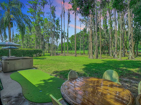 Relax in our back garden with hot tub SPA Pool (marked as a private pool in amenities) overlooking lake and Saddlebrook Resort Course. Only a stone throw about 100 yards away to Saddlebrook Golf & Tennis pro shop and resort community restaurant.
