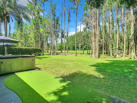 Relax in our back garden with hot tub SPA Pool (marked as a private pool in amenities) overlooking lake and Saddlebrook Resort Course. Only a stone throw about 100 yards away to Saddlebrook Golf & Tennis pro shop and resort community restaurant.
