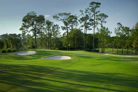 Saddlebrook has two golf courses designed by Arnold Palmer and are open to the public. The golf course is right outside your door. 