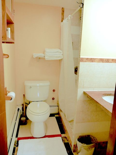 Full bathroom with vanity mirror, high-pressure shower stall, and toilet. Additional toiletries in the cabinet
