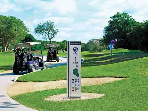 Campo de Golf ⛳️ 