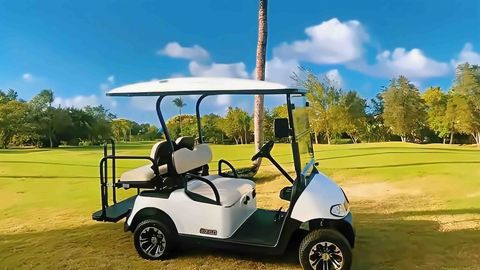 Carrito de golf disponible para renta.