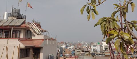 view